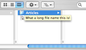 Column view - long filename as tool-tip